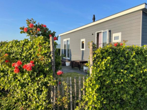 Bonboniera70 Renesse